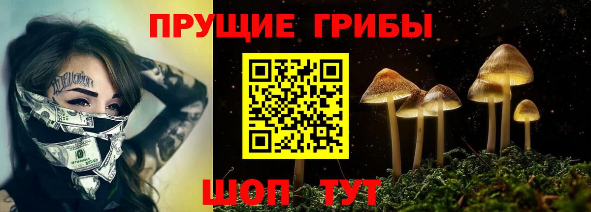 Галлюциногенные грибы GOLDEN TEACHER  Вход с VPN  Галлюциногенные грибы Psilocybine cubensis  Гулькевичи 