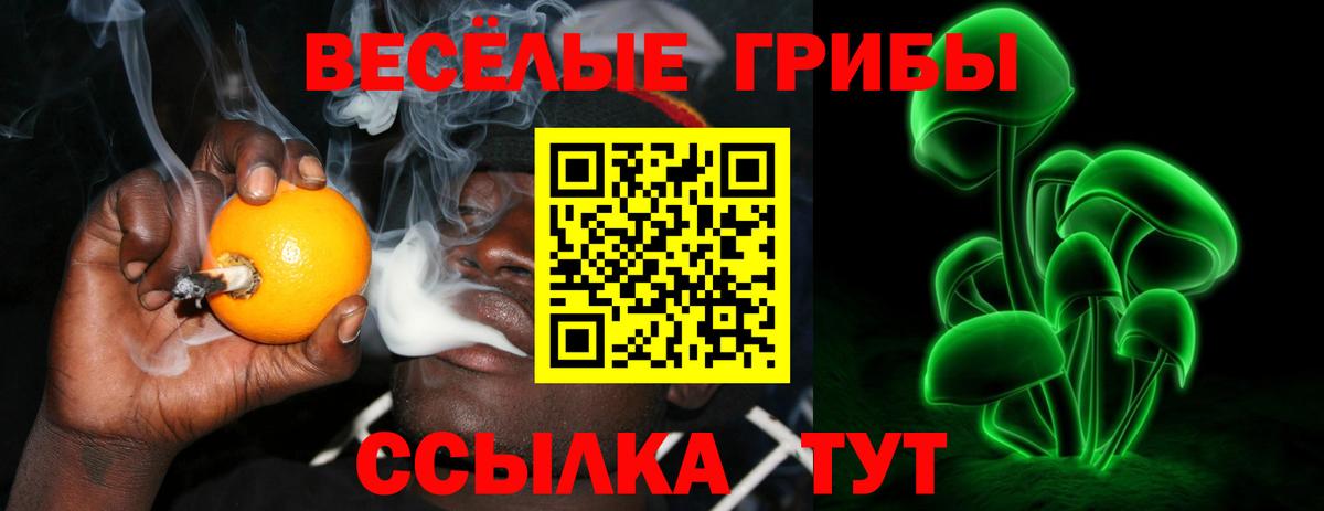 Псилоцибиновые грибы GOLDEN TEACHER Гулькевичи
